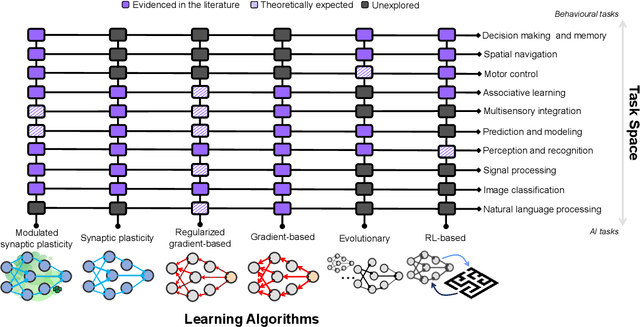Figure 2 for Enhancing learning in artificial neural networks through cellular heterogeneity and neuromodulatory signaling