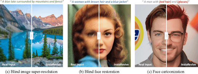 Figure 1 for InstaRevive: One-Step Image Enhancement via Dynamic Score Matching