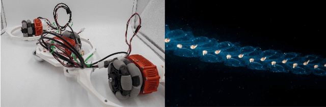 Figure 1 for Geometric Data-Driven Multi-Jet Locomotion Inspired by Salps