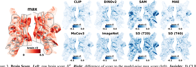 Figure 4 for Brain Decodes Deep Nets