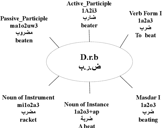 Figure 1 for A Derivational ChainBank for Modern Standard Arabic