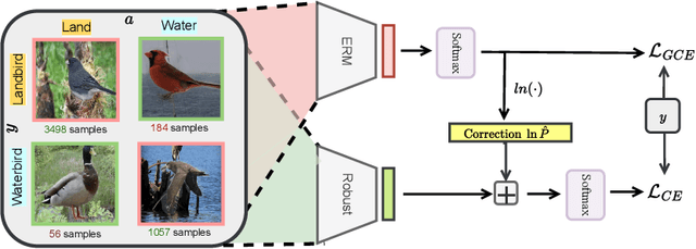 Figure 1 for Avoiding spurious correlations via logit correction