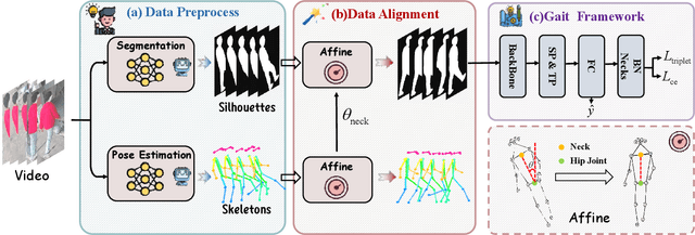 Figure 2 for DAGait: Generalized Skeleton-Guided Data Alignment for Gait Recognition