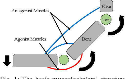 Figure 1 for Exceeding the Maximum Speed Limit of the Joint Angle for the Redundant Tendon-driven Structures of Musculoskeletal Humanoids