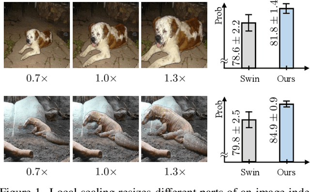 Figure 1 for Local Scale Equivariance with Latent Deep Equilibrium Canonicalizer