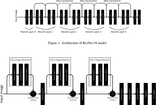 Figure 1 for Vision Eagle Attention: A New Lens for Advancing Image Classification