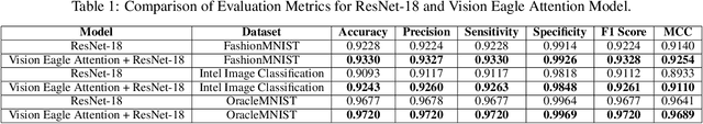 Figure 2 for Vision Eagle Attention: A New Lens for Advancing Image Classification