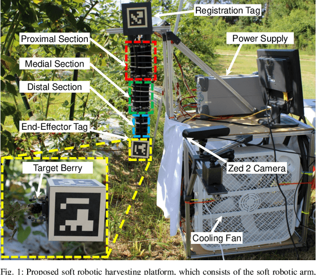 Figure 1 for Design, Modeling, and Redundancy Resolution of Soft Robot for Effective Harvesting