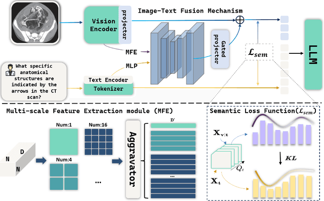 Figure 3 for BioD2C: A Dual-level Semantic Consistency Constraint Framework for Biomedical VQA