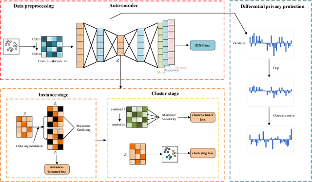 Figure 1 for DP-DCAN: Differentially Private Deep Contrastive Autoencoder Network for Single-cell Clustering