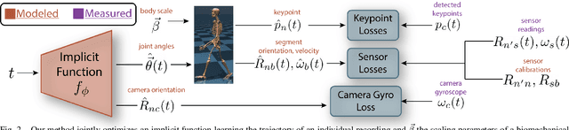 Figure 2 for Fusing uncalibrated IMUs and handheld smartphone video to reconstruct knee kinematics