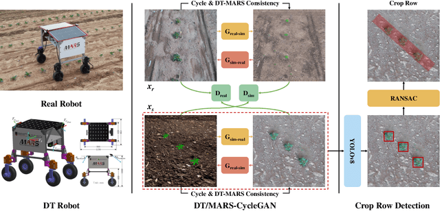 Figure 1 for DT/MARS-CycleGAN: Improved Object Detection for MARS Phenotyping Robot