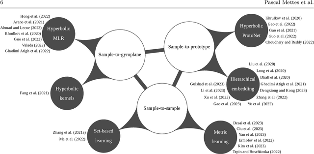Figure 2 for Hyperbolic Deep Learning in Computer Vision: A Survey
