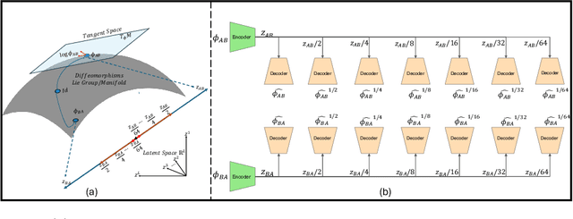 Figure 1 for LEDA: Log-Euclidean Diffeomorphic Autoencoder for Efficient Statistical Analysis of Diffeomorphism