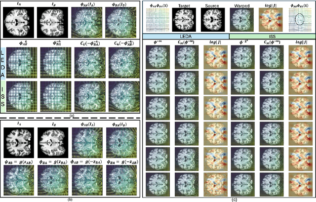 Figure 2 for LEDA: Log-Euclidean Diffeomorphic Autoencoder for Efficient Statistical Analysis of Diffeomorphism