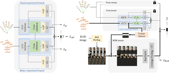 Figure 4 for Body-Hand Modality Expertized Networks with Cross-attention for Fine-grained Skeleton Action Recognition