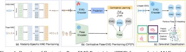 Figure 1 for CPEP: Contrastive Pose-EMG Pre-training Enhances Gesture Generalization on EMG Signals