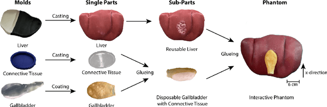Figure 3 for Interactive Surgical Liver Phantom for Cholecystectomy Training