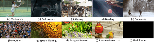 Figure 1 for BVI-Artefact: An Artefact Detection Benchmark Dataset for Streamed Videos