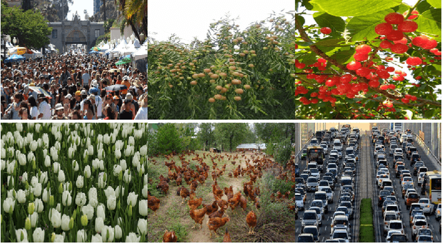 Figure 2 for A Unified Object Counting Network with Object Occupation Prior