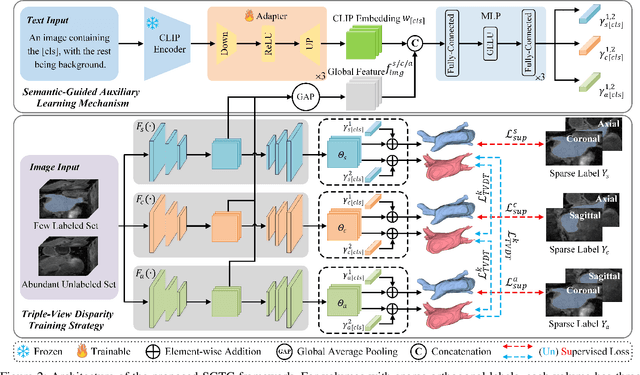 Figure 3 for SGTC: Semantic-Guided Triplet Co-training for Sparsely Annotated Semi-Supervised Medical Image Segmentation