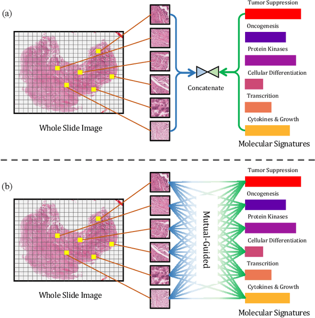 Figure 1 for MGCT: Mutual-Guided Cross-Modality Transformer for Survival Outcome Prediction using Integrative Histopathology-Genomic Features