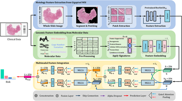 Figure 2 for MGCT: Mutual-Guided Cross-Modality Transformer for Survival Outcome Prediction using Integrative Histopathology-Genomic Features
