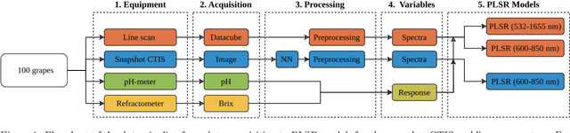 Figure 1 for Investigating the Applicability of a Snapshot Computed Tomography Imaging Spectrometer for the Prediction of Brix and pH of Grapes
