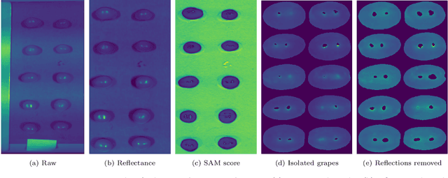 Figure 4 for Investigating the Applicability of a Snapshot Computed Tomography Imaging Spectrometer for the Prediction of Brix and pH of Grapes