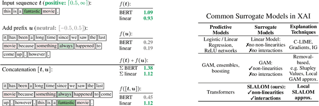 Figure 1 for Attention Mechanisms Don't Learn Additive Models: Rethinking Feature Importance for Transformers