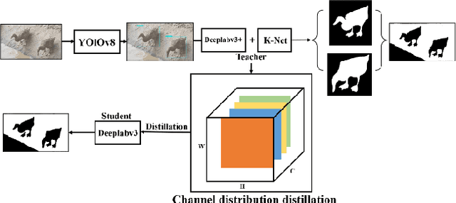 Figure 3 for DuckSegmentation: A segmentation model based on the AnYue Hemp Duck Dataset