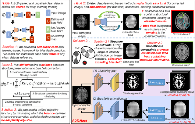 Figure 1 for Structure and Smoothness Constrained Dual Networks for MR Bias Field Correction