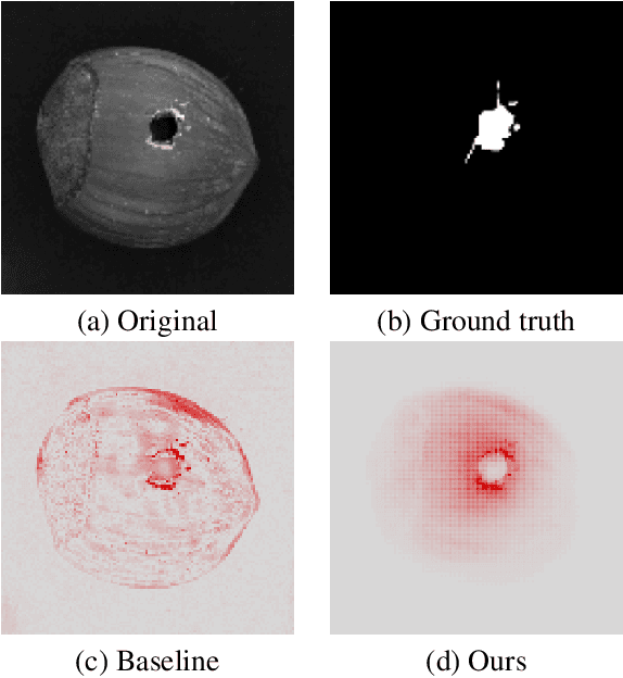 Figure 1 for Unlocking Layer-wise Relevance Propagation for Autoencoders