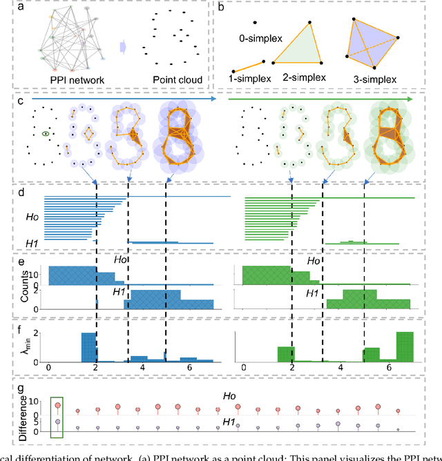 Figure 4 for Multiscale Topology in Interactomic Network: From Transcriptome to Antiaddiction Drug Repurposing