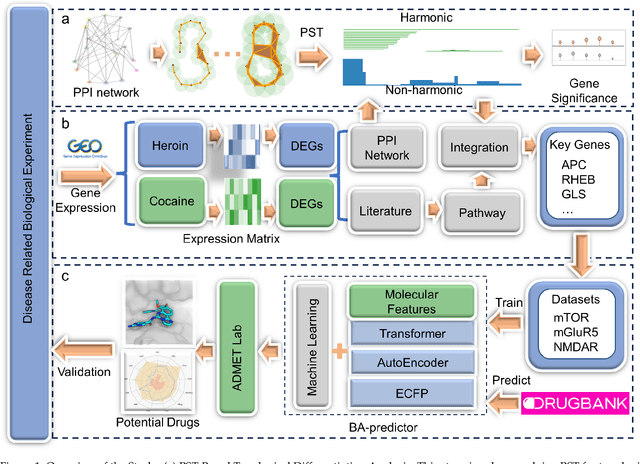 Figure 1 for Multiscale Topology in Interactomic Network: From Transcriptome to Antiaddiction Drug Repurposing