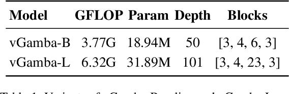 Figure 2 for vGamba: Attentive State Space Bottleneck for efficient Long-range Dependencies in Visual Recognition