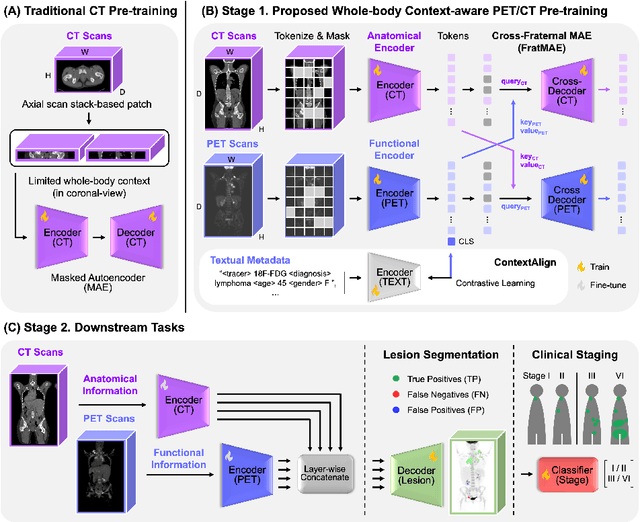 Figure 1 for Developing a PET/CT Foundation Model for Cross-Modal Anatomical and Functional Imaging