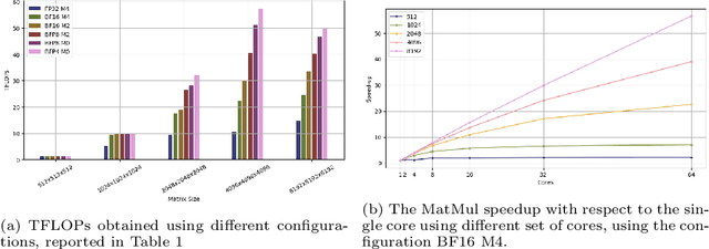 Figure 4 for Assessing Tenstorrent's RISC-V MatMul Acceleration Capabilities