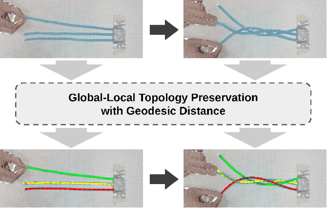Figure 1 for Simultaneous Shape Tracking of Multiple Deformable Linear Objects with Global-Local Topology Preservation