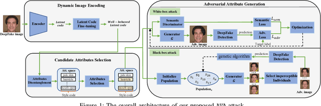 Figure 1 for AVA: Inconspicuous Attribute Variation-based Adversarial Attack bypassing DeepFake Detection