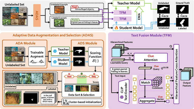 Figure 3 for SCOUT: Semi-supervised Camouflaged Object Detection by Utilizing Text and Adaptive Data Selection