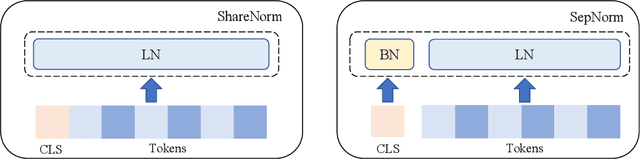 Figure 1 for On Separate Normalization in Self-supervised Transformers