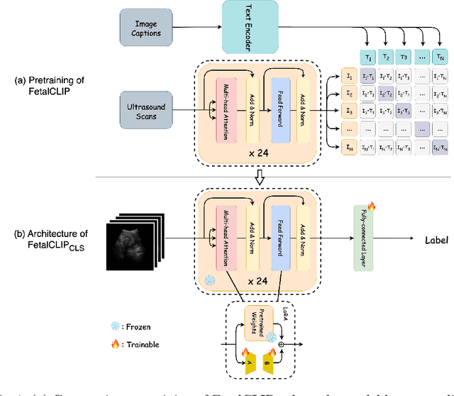 Figure 1 for Advancing Fetal Ultrasound Image Quality Assessment in Low-Resource Settings