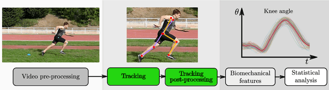Figure 3 for Comparison of Visual Trackers for Biomechanical Analysis of Running