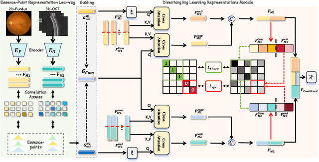 Figure 3 for Robust Multimodal Learning for Ophthalmic Disease Grading via Disentangled Representation
