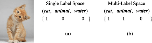 Figure 1 for Multi-Label Takagi-Sugeno-Kang Fuzzy System