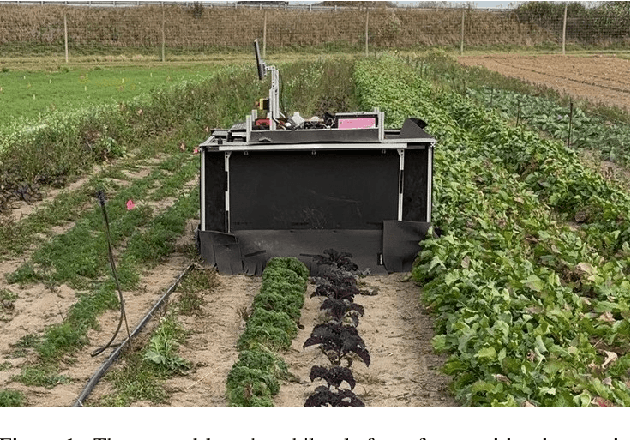 Figure 1 for Semi-Supervised Weed Detection in Vegetable Fields: In-domain and Cross-domain Experiments