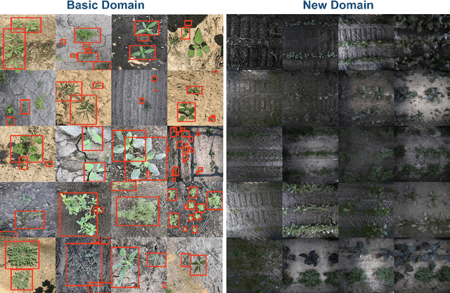 Figure 3 for Semi-Supervised Weed Detection in Vegetable Fields: In-domain and Cross-domain Experiments