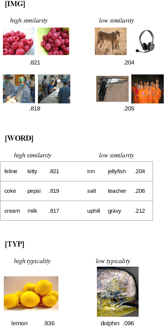 Figure 1 for The challenge of representation learning: Improved accuracy in deep vision models does not come with better predictions of perceptual similarity