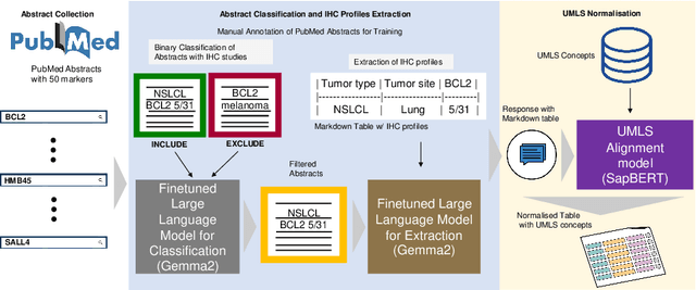 Figure 1 for IHC-LLMiner: Automated extraction of tumour immunohistochemical profiles from PubMed abstracts using large language models